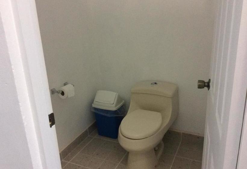 호스텔 Casa Paloma Blanca