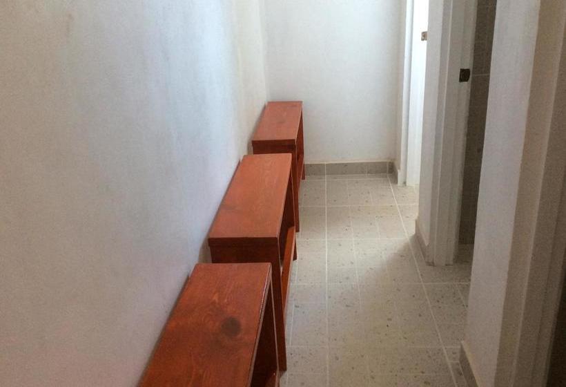 호스텔 Casa Paloma Blanca