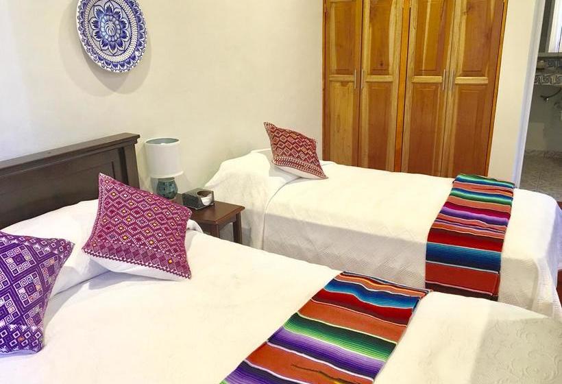 호스텔 Casa Paloma Blanca