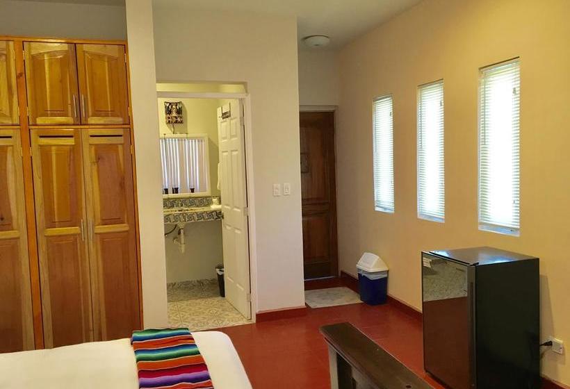 호스텔 Casa Paloma Blanca