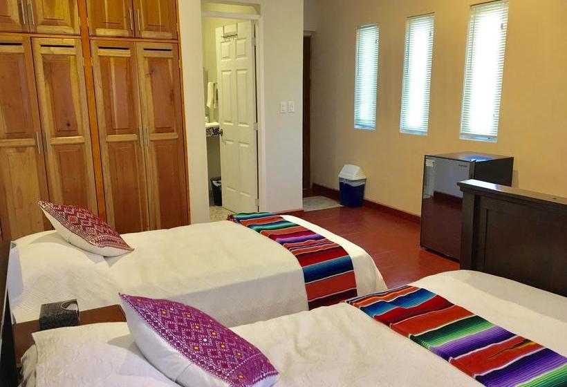 호스텔 Casa Paloma Blanca