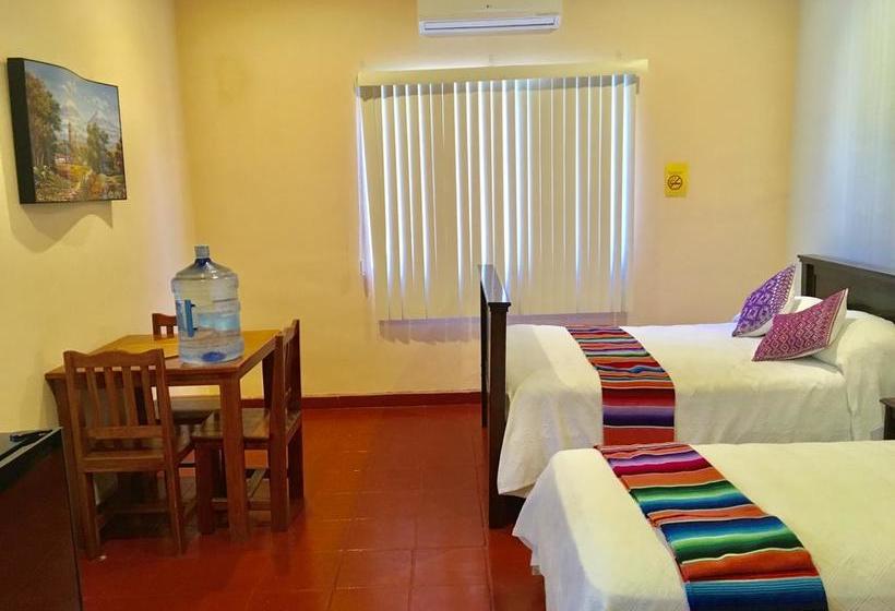 호스텔 Casa Paloma Blanca