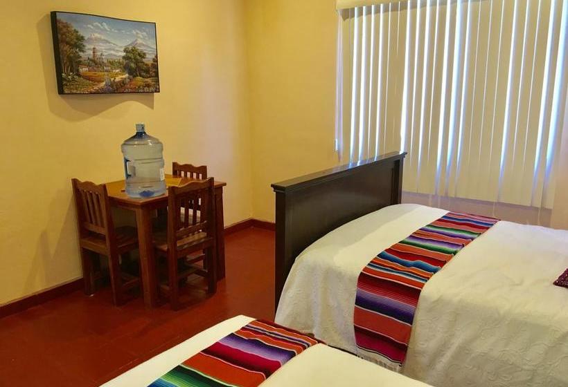 호스텔 Casa Paloma Blanca