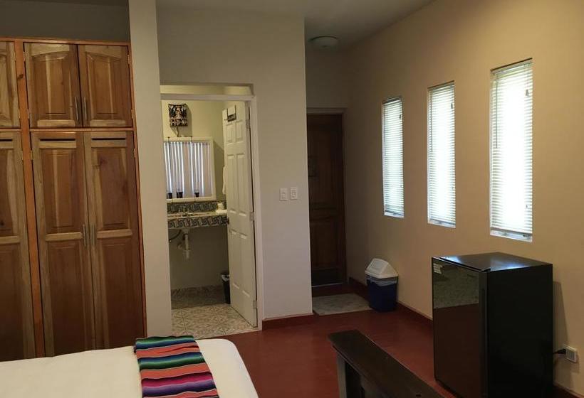 호스텔 Casa Paloma Blanca