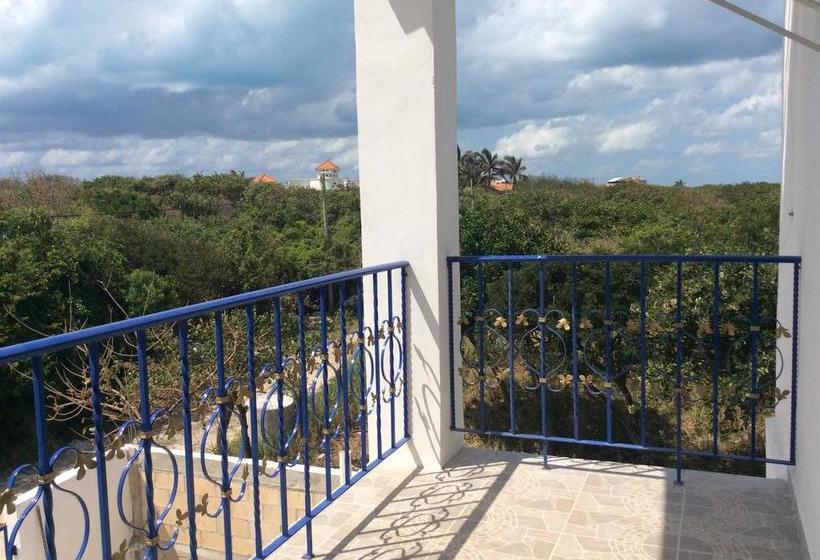 호스텔 Casa Paloma Blanca