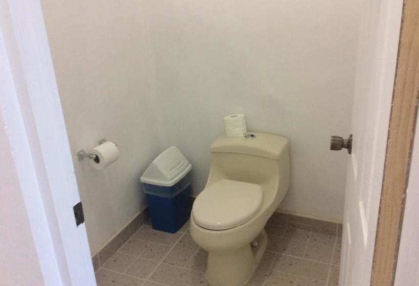 호스텔 Casa Paloma Blanca