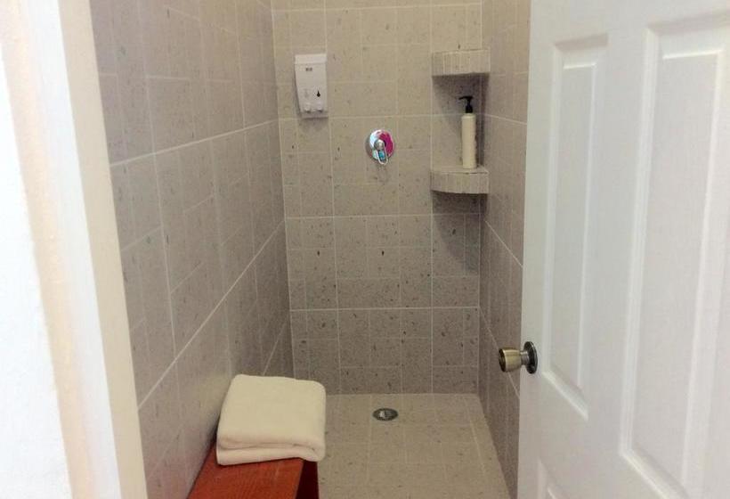 호스텔 Casa Paloma Blanca