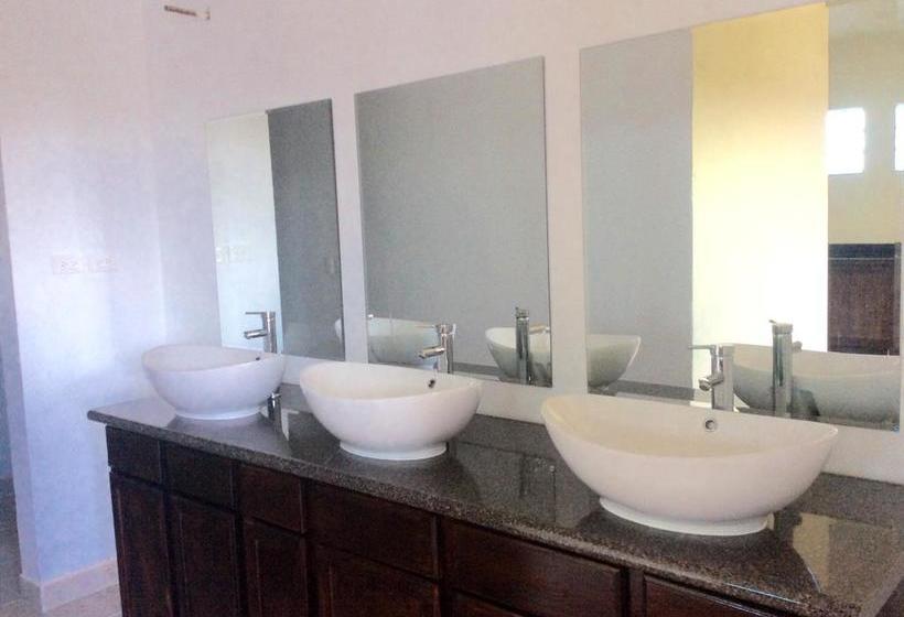 호스텔 Casa Paloma Blanca