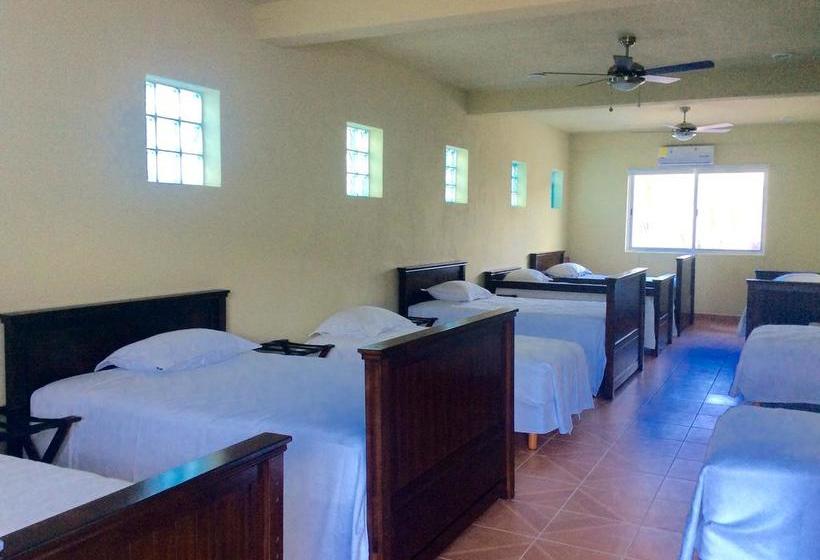 호스텔 Casa Paloma Blanca