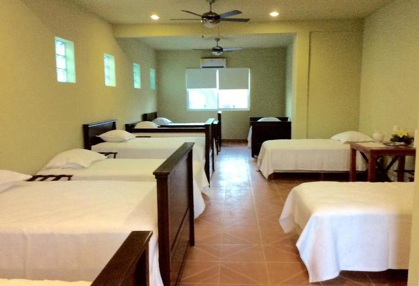 호스텔 Casa Paloma Blanca