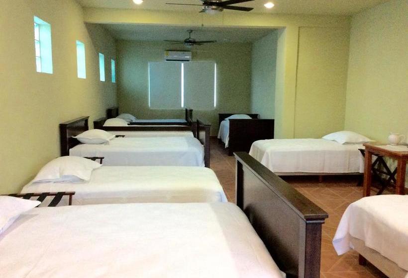 호스텔 Casa Paloma Blanca