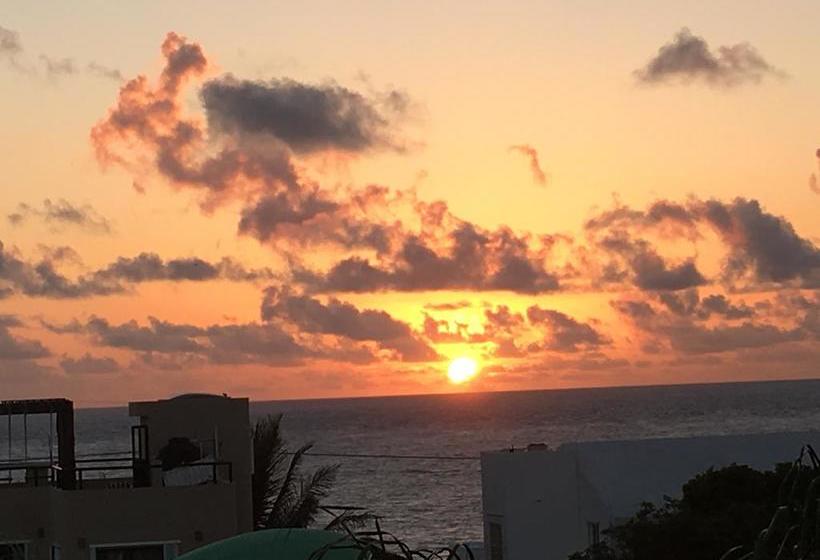 호스텔 Casa Paloma Blanca