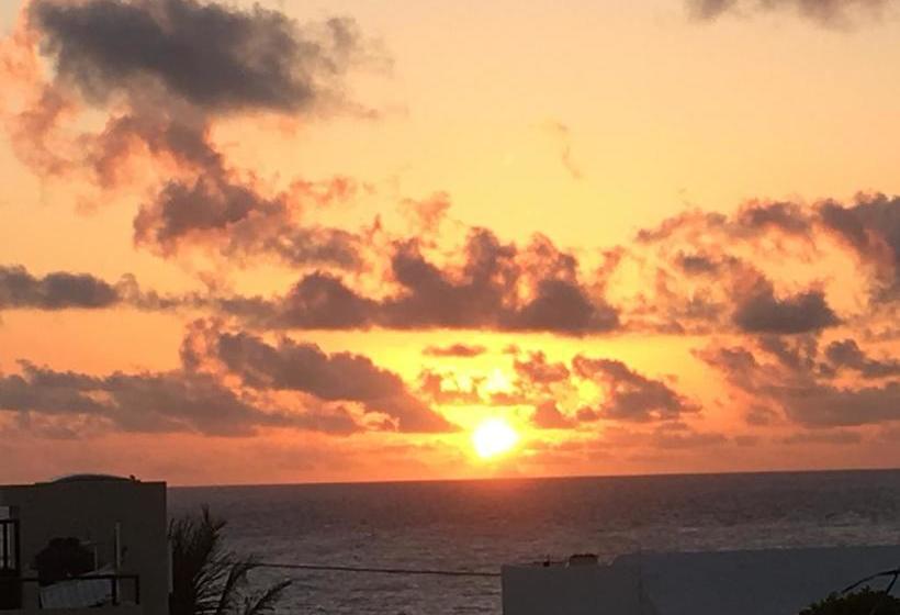 호스텔 Casa Paloma Blanca