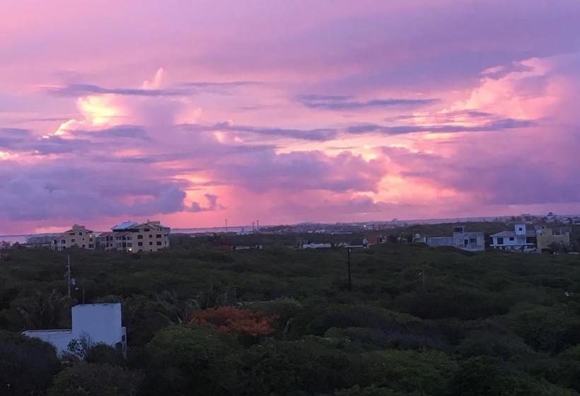 호스텔 Casa Paloma Blanca