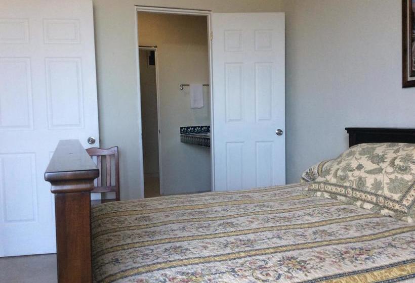 호스텔 Casa Paloma Blanca