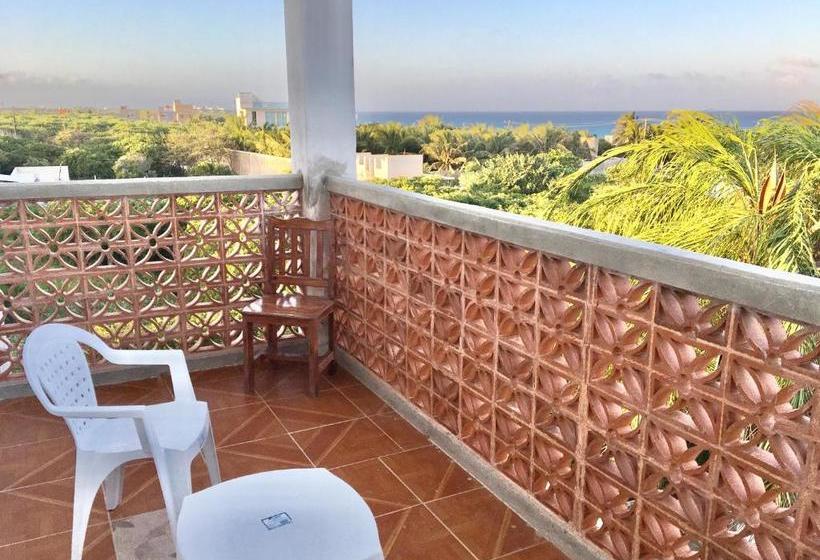 호스텔 Casa Paloma Blanca