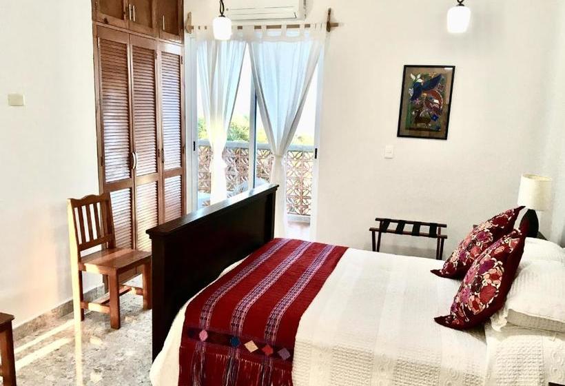 호스텔 Casa Paloma Blanca