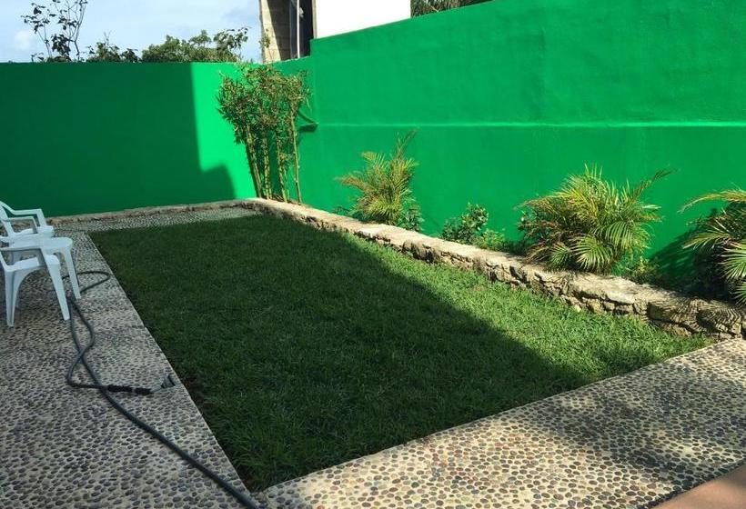 호스텔 Casa Paloma Blanca