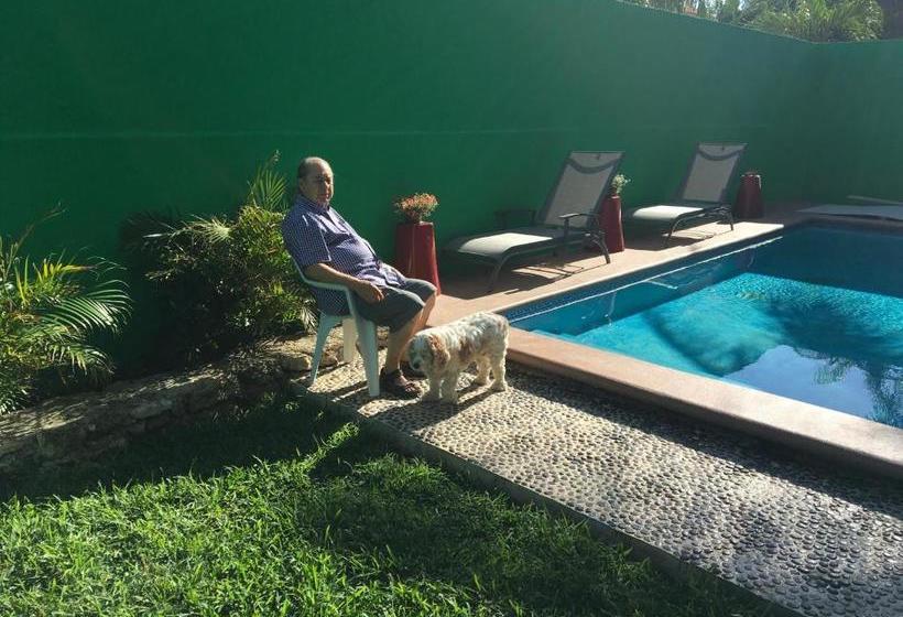 호스텔 Casa Paloma Blanca