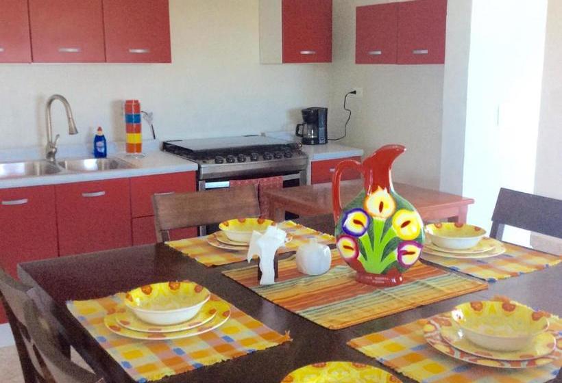 호스텔 Casa Paloma Blanca