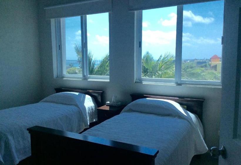 호스텔 Casa Paloma Blanca