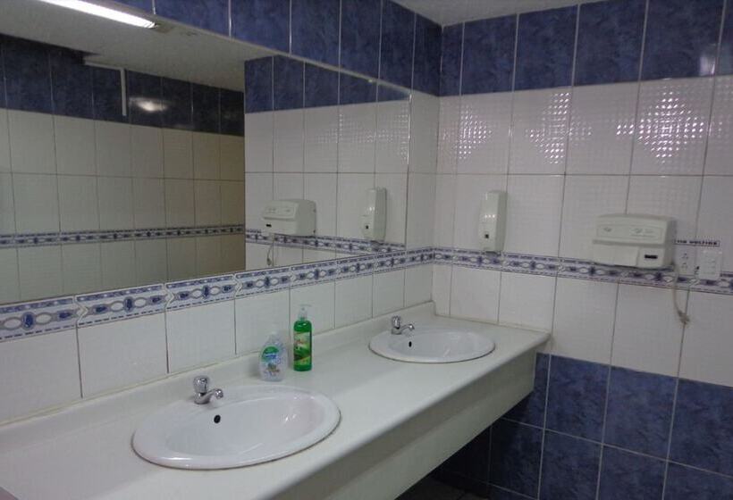 호스텔 Escocie   Centro Historico