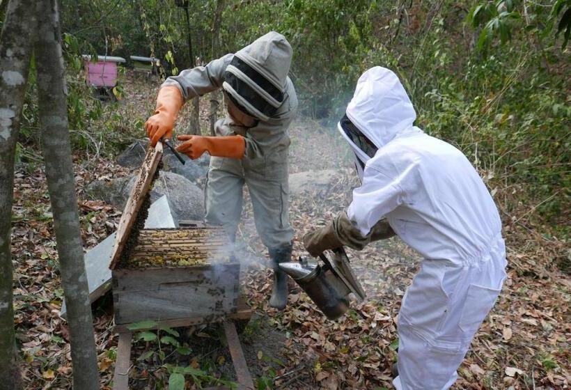 ユースホステル Finca Carpe Diem Ecolodge