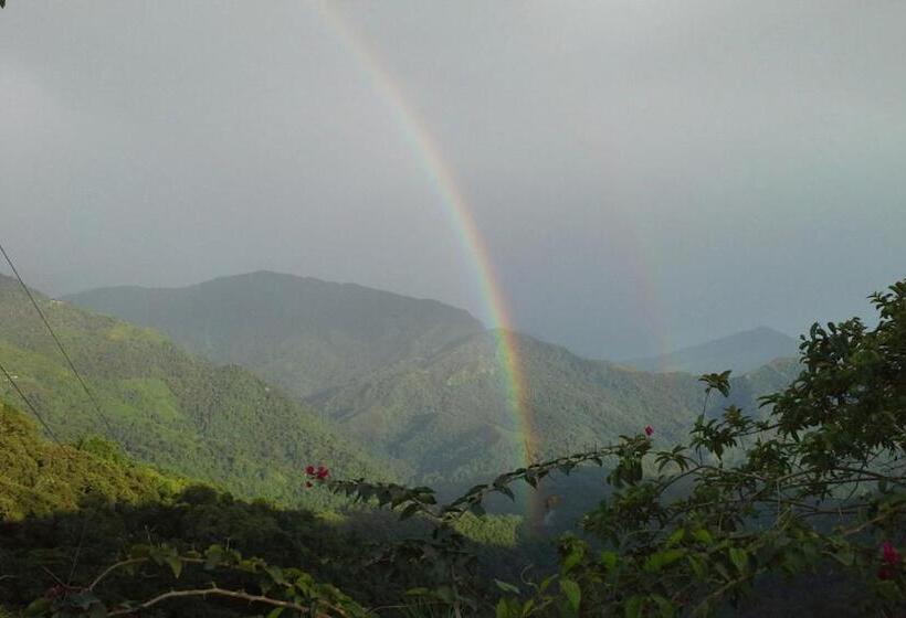 ユースホステル Finca Carpe Diem Ecolodge