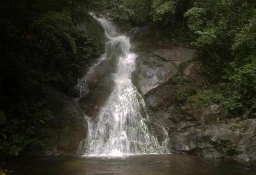 ユースホステル Finca Carpe Diem Ecolodge