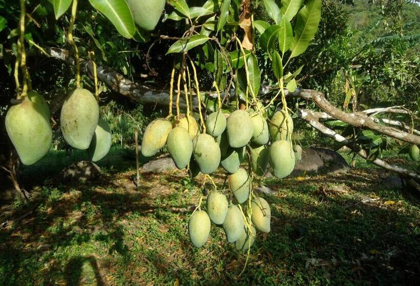 ユースホステル Finca Carpe Diem Ecolodge