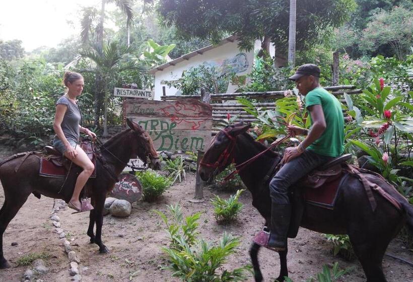 ユースホステル Finca Carpe Diem Ecolodge