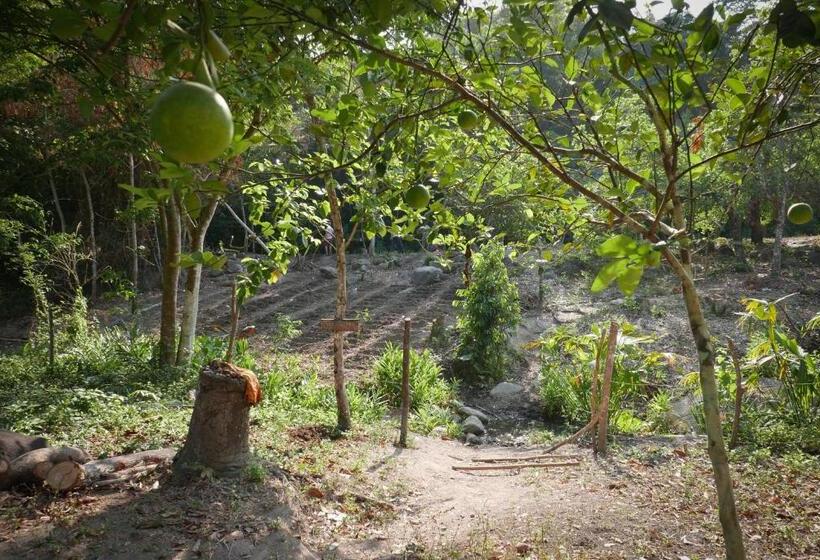 هاستل Finca Carpe Diem Ecolodge