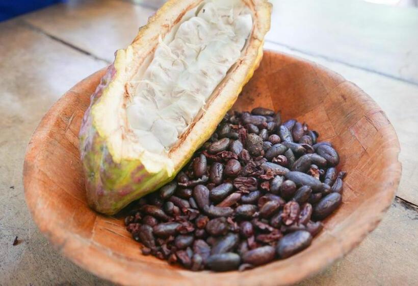 ユースホステル Finca Carpe Diem Ecolodge