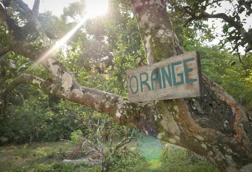 هاستل Finca Carpe Diem Ecolodge