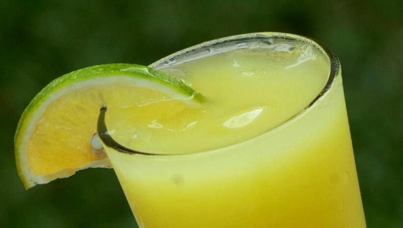 هاستل Finca Carpe Diem Ecolodge