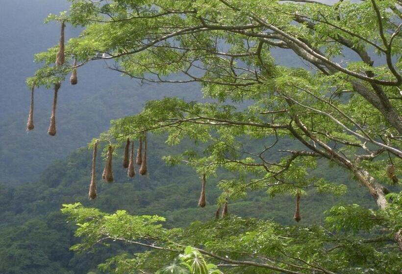 ユースホステル Finca Carpe Diem Ecolodge