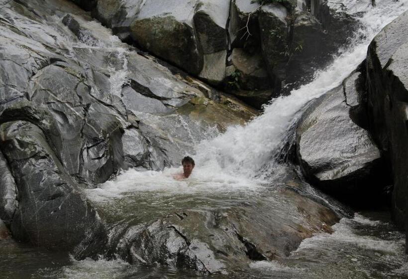 هاستل Finca Carpe Diem Ecolodge