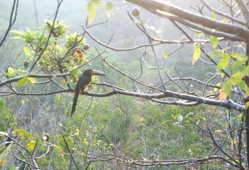 ユースホステル Finca Carpe Diem Ecolodge