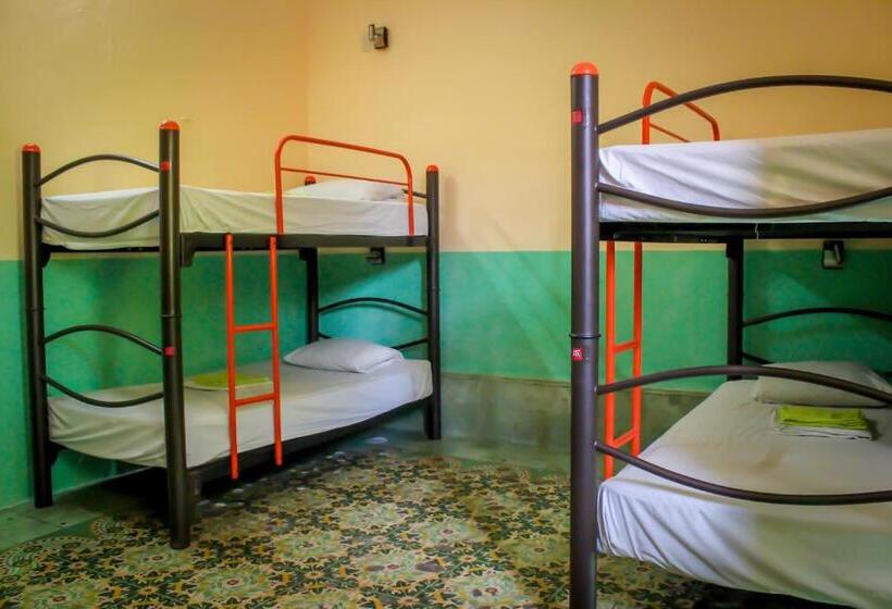 هاستل Hostal La Ermita