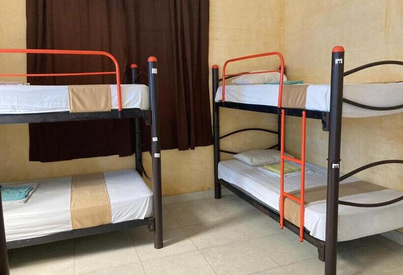 هاستل Hostal La Ermita