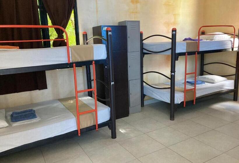 هاستل Hostal La Ermita