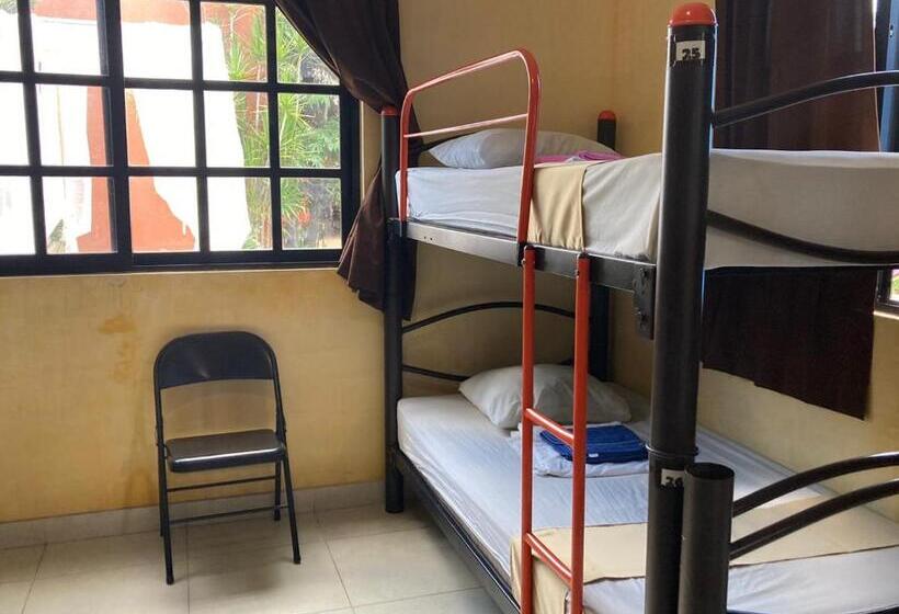 فندق صغير Hostal La Ermita