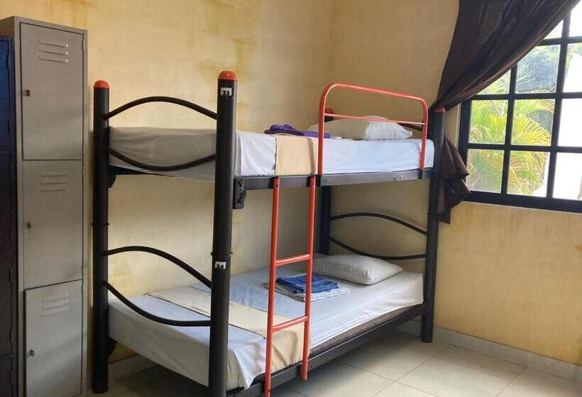 هاستل Hostal La Ermita