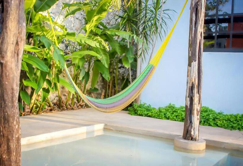 هاستل Hostal La Ermita