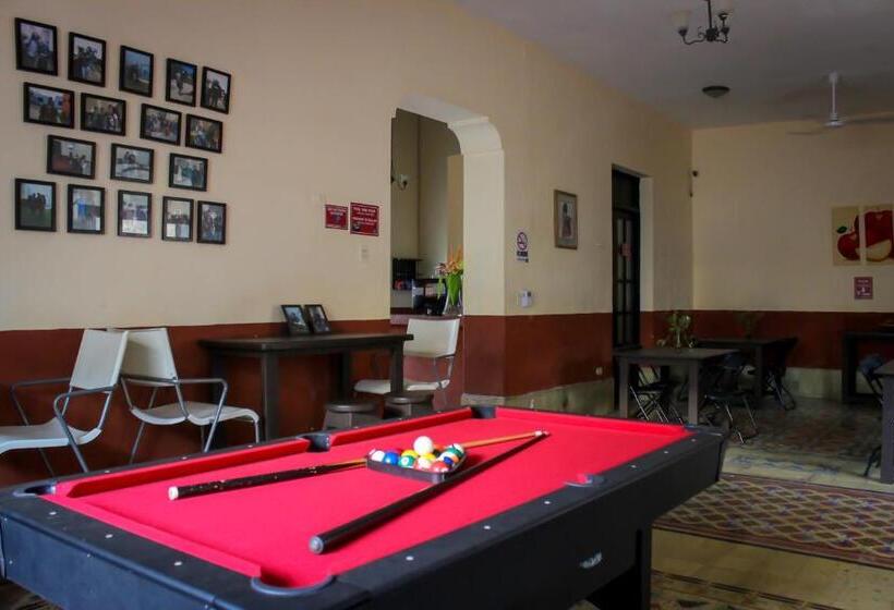 هاستل Hostal La Ermita