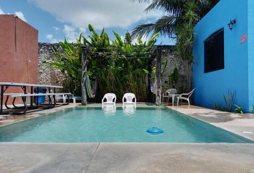 هاستل Hostal La Ermita