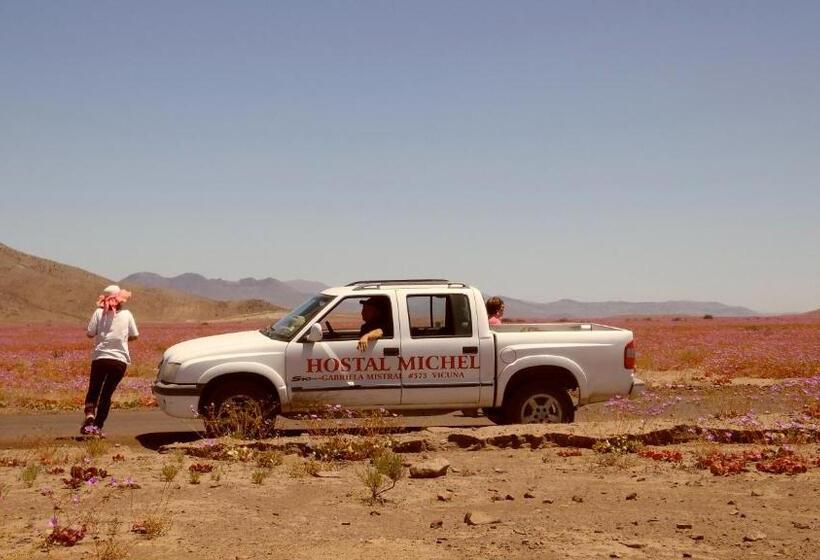 فندق صغير Hostal Michel