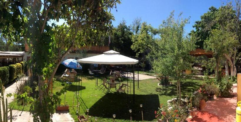 فندق صغير Hostal Michel