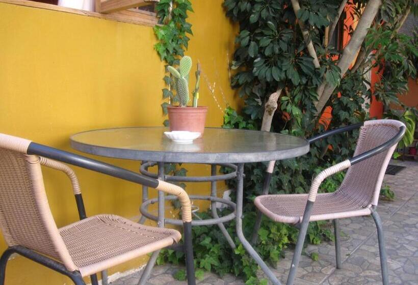 فندق صغير Hostal Michel