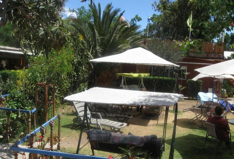 فندق صغير Hostal Michel